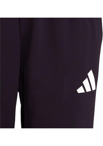 TURKIYE PNT W Kadın Eşofman Altı JG5705