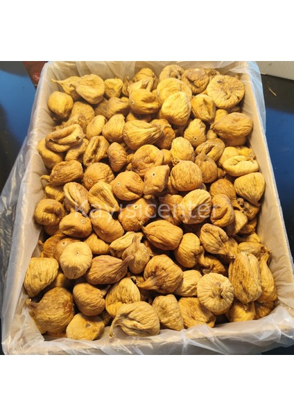 Aydın Armut Incir Jumbo 10 kg fiyatları