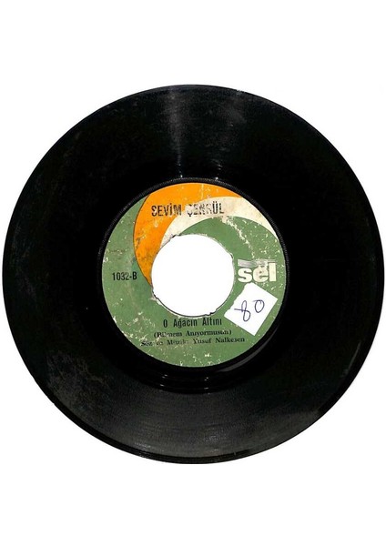 Sevim Şengül - Nazar Değdi Dünyama O Ağacın Altını Plak (106) PLK20298 fiyatları