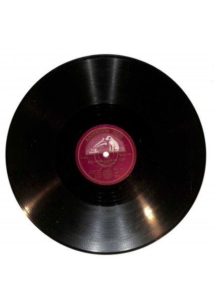 Safiye - Bma Taş Basaydım Ağlarım Çağlar Gibi Taş Plak (107.5) PLK22517 fiyatları