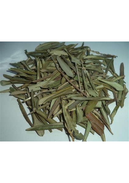 Zeytin Yaprağı 250 gr