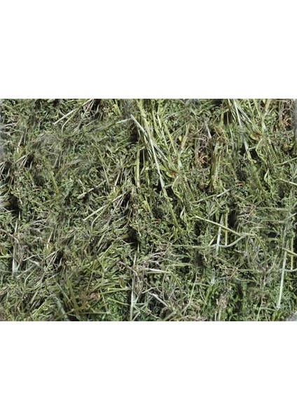 Yoğurt Otu/yapışkan 500 gr
