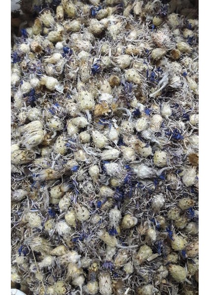 Peygamber Çiçeği-Mavi Kantaron 500 gr