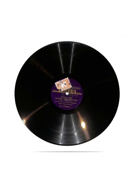 Münir Nurettin Selçuk - Saçlarıma Ak Düştü Akşam Yine Gölgen Taş Plak (108) PLK23393