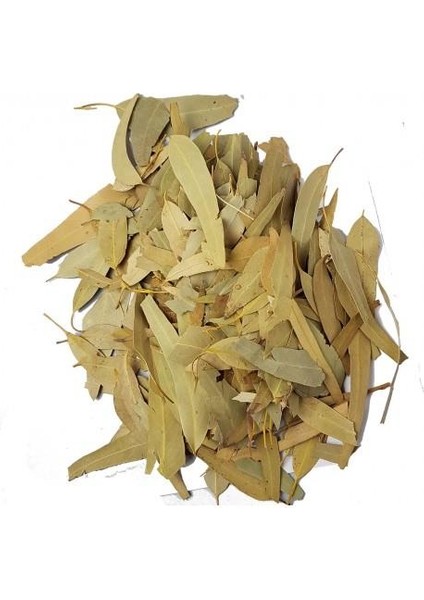 Okaliptüs Yaprağı 100 gr
