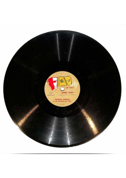 Charles Norman - James Point Playing On The Zither Taş Plak (106.5) PLK22945