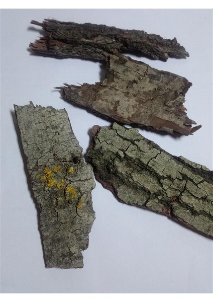 Söğüt Ağacı Kabuğu 500 gr