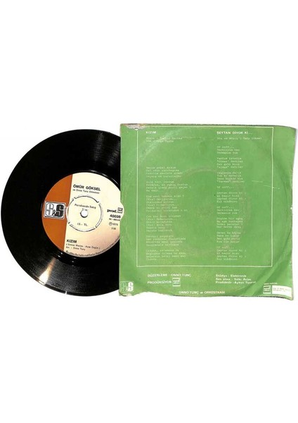 Ömür Göksel - Şeytan Diyor Ki Kızım Plak (108) PLK22724 fiyatları