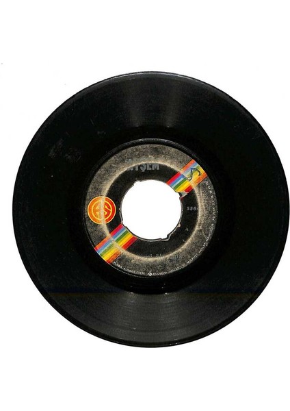 Ayşem - Fakir Mi Öleceğiz Sarhoş Plak (106) PLK22428 fiyatları