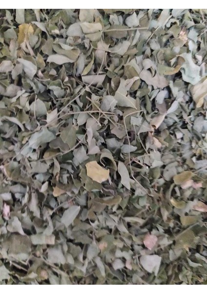 Moringa Yaprak 250 gr