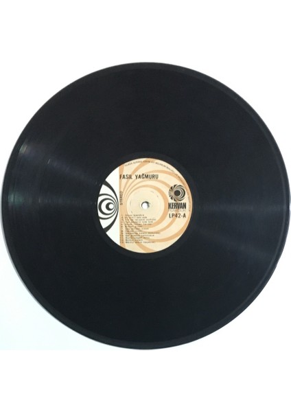 Fasıl Yağmuru Lp Plak PLK403 modelleri