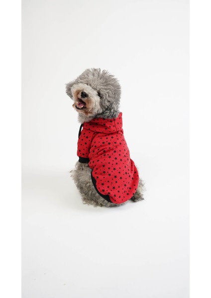 Köpek Kedi Hoodie Star Vibe