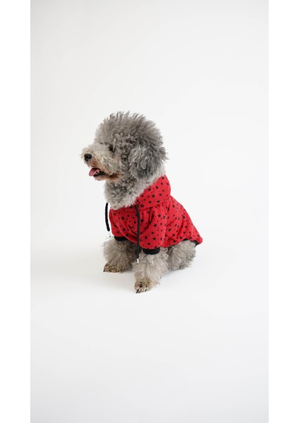 Köpek Kedi Hoodie Star Vibe fiyatları