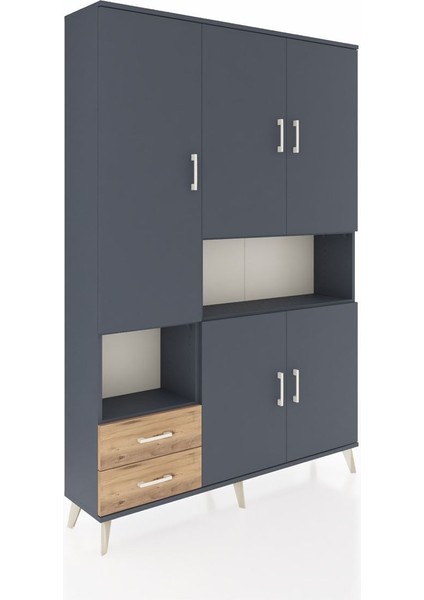 Arges Dolap 10 Raflı 2 Çekmeceli 5 Kapaklı 132X30X195 Antrasit-Antrasit/çam fiyatları