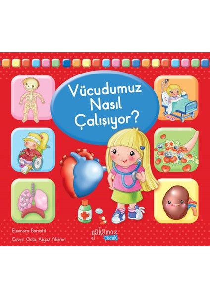 Vücudumuz Nasıl Çalışıyor?