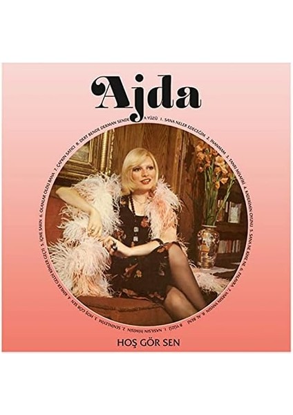 Elektronik Ajda Pekkan-Hoşgörsen Lp Plak fiyatları