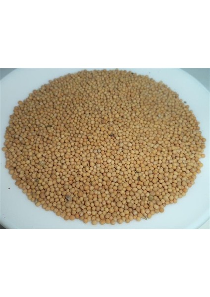 Hardal Tohumu Sarı 500 gr