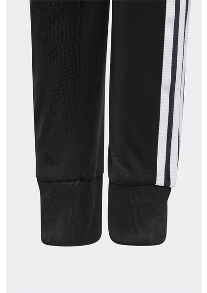 Originals GN8453 Adicolor SST Track Pants