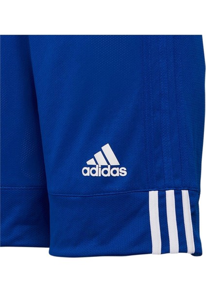 Performance DY6625 3G Speed Reversible Shorts