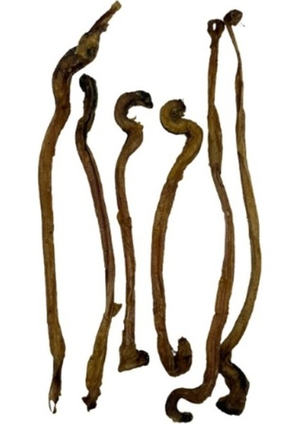 Kurutulmuş Ödül Maması Kuzu Kamış 15CM. - 100GR. fırsatları