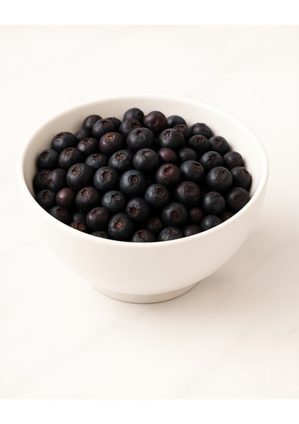 Dondurularak Kurutulmuş Yaban Mersini 20 gr – Freeze Dried Yaban Mersini- Yaban Mersini Meyve Cipsi fırsatları