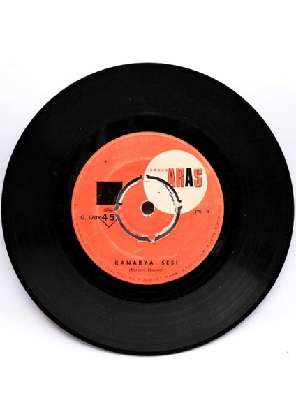 Kanarya Sesi 1 (107) PLK5693