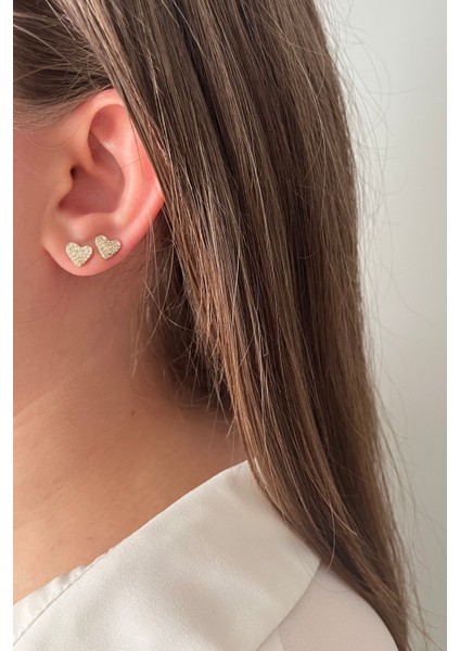 6'lı Romantik Kalp Temalı Paslanmaz Çelik Küpe Seti fiyatları