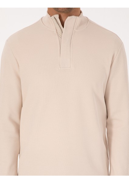 Erkek Taş Regular Fit Sweatshirt 50309343-VR049