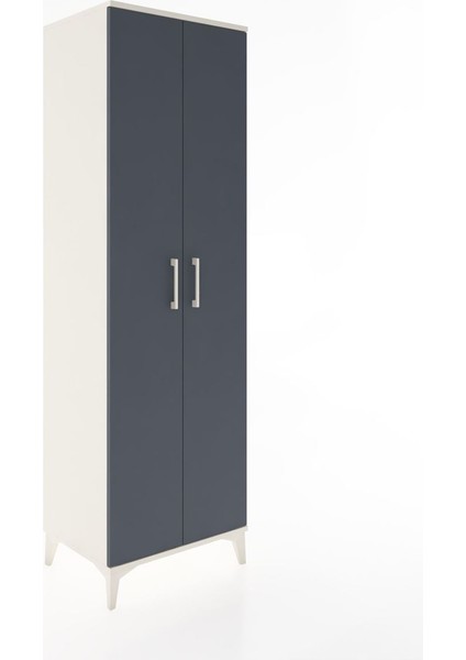 Hyperion Dolap 3 Raflı 2 Kapaklı Tek Askılı 60X44X195 Aytaşı-Antrasit fiyatları