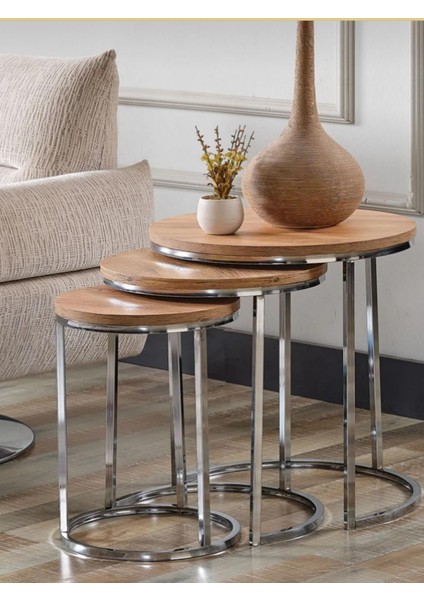 C Zigon Gold Sehpa Gümüş + Ahşap