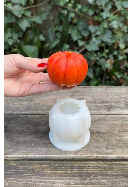 Concept Pumpkin Büyük Boy Mum Kalıbı (Silikon)