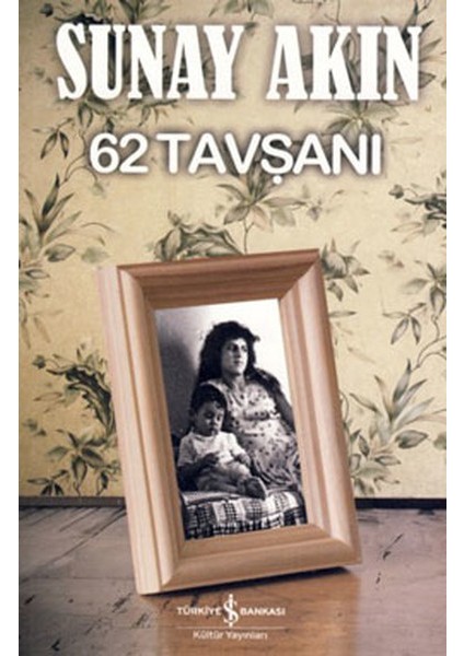 62 Tavşanı