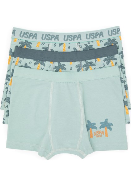 Erkek Çocuk Su Yeşili Iç Giyim Alt 50319388-VR048