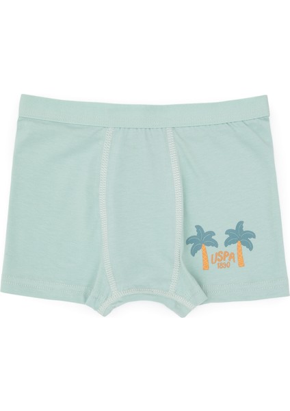 Erkek Çocuk Su Yeşili Iç Giyim Alt 50319388-VR048 fiyatları