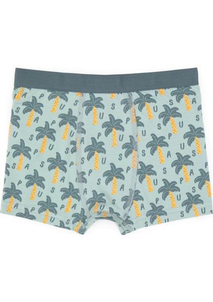 Erkek Çocuk Su Yeşili Iç Giyim Alt 50319388-VR048 modelleri