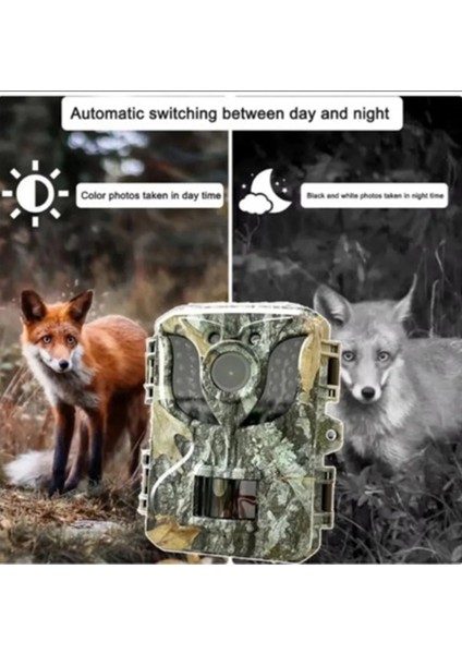 Fotokapan Kamera 16MP Full Hd 1080P Gece Görüşlü 2 Inç LCD Ekran Su Geçirmez ( Lisinya ) fiyatları