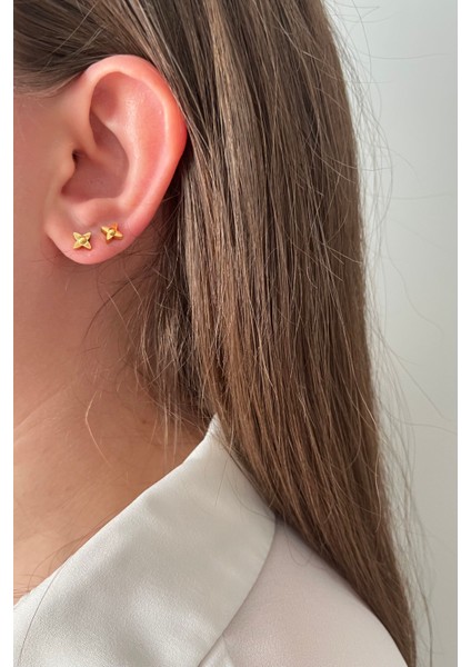 6'lı Paslanmaz Çelik Çiçek & Yonca Küpe Seti - Detaylı Gold Tonu fiyatları