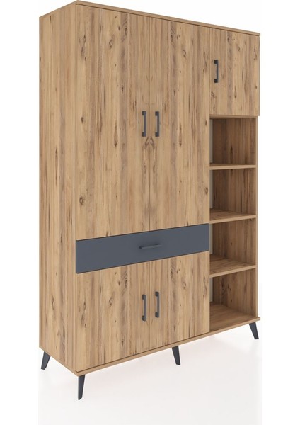 Hyperion Dolap 10 Raflı Tek Çekmeceli 5 Kapaklı 132X44X195 Çam-Çam/antrasit fiyatları