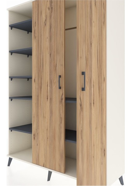 Hyperion Dolap 7 Raflı 2 Kapaklı Tek Askılı 132X44X195 Aytaşı-Çam/antrasit fırsatları