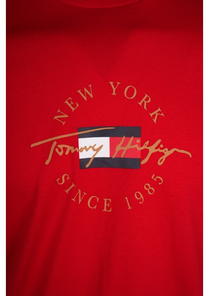 Tommy Hılfıger Erkek T-Shırt 09T4510-600 modelleri