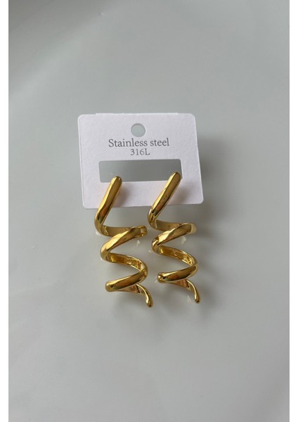 Paslanmaz Çelik 316L Spiral Sarmal Küpe fiyatları