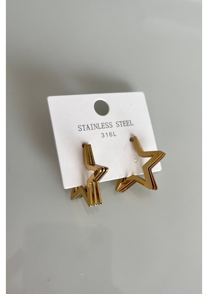 316L Paslanmaz Çelik Telli Yıldız Küpe