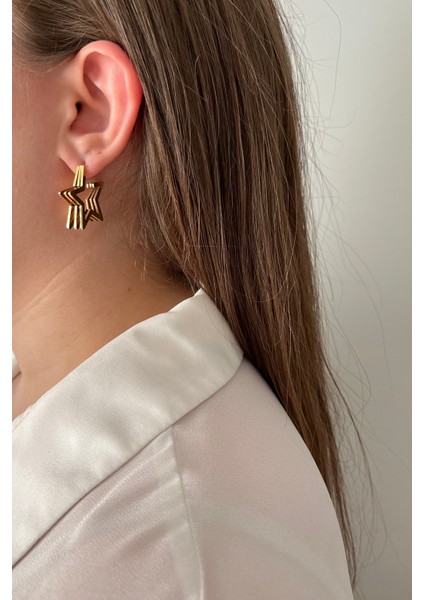 316L Paslanmaz Çelik Telli Yıldız Küpe fiyatları