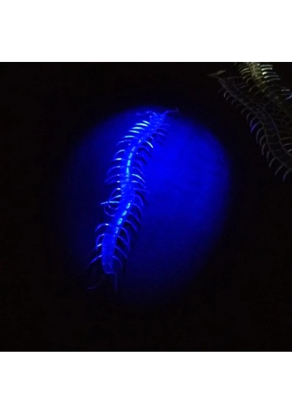 Şaka Yılan ve Kırkayak Karışık 36 Adet (5148) fiyatları