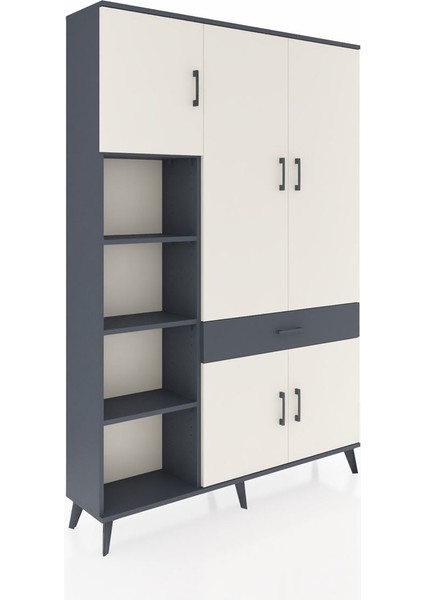 Arges Dolap 8 Raflı Tek Çekmeceli 5 Kapaklı 132X30X195 Antrasit-Aytaşı/antrasit fiyatları