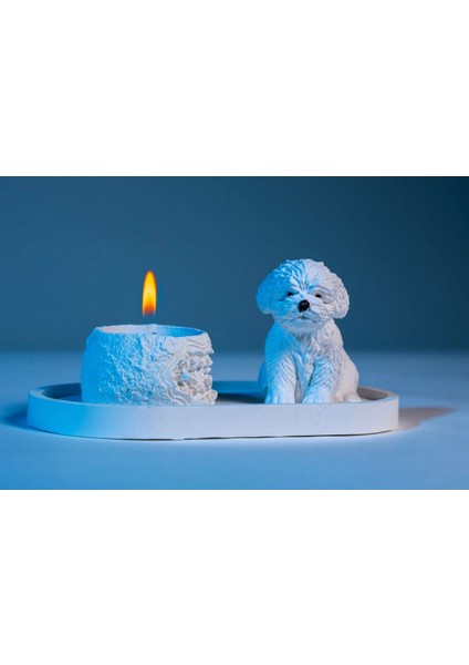 Sevimli Köpek Dekoratif Mumluk Set fiyatları
