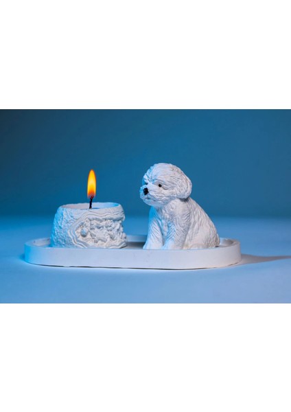 Sevimli Köpek Dekoratif Mumluk Set fırsatları