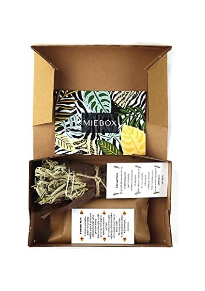 It Easier Arınma ve Enerji Başlangıç Seti: Adaçayı Tütsü ve 3 Organik Mum fiyatları