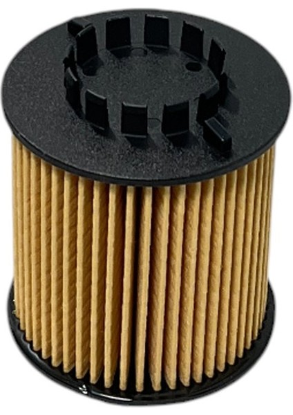 Fiat 500 L, 500 x 70 Kw 2014 ve Sonrası Çüklü, Tırnaklı Yağ Filtresi modelleri