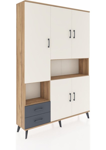 Arges Dolap 10 Raflı 2 Çekmeceli 5 Kapaklı 132X30X195 Çam-Aytaşı/antrasit fiyatları